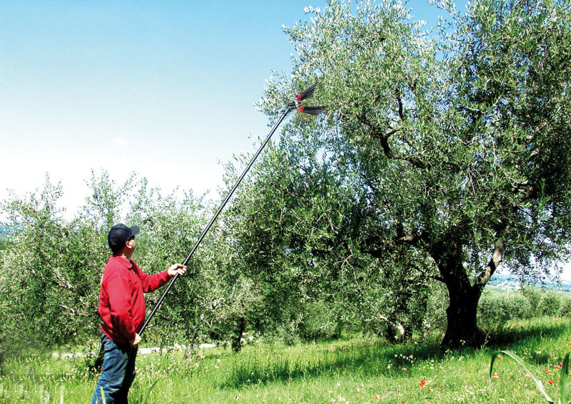 V8 Turbo Abbacchiatore pneumatico