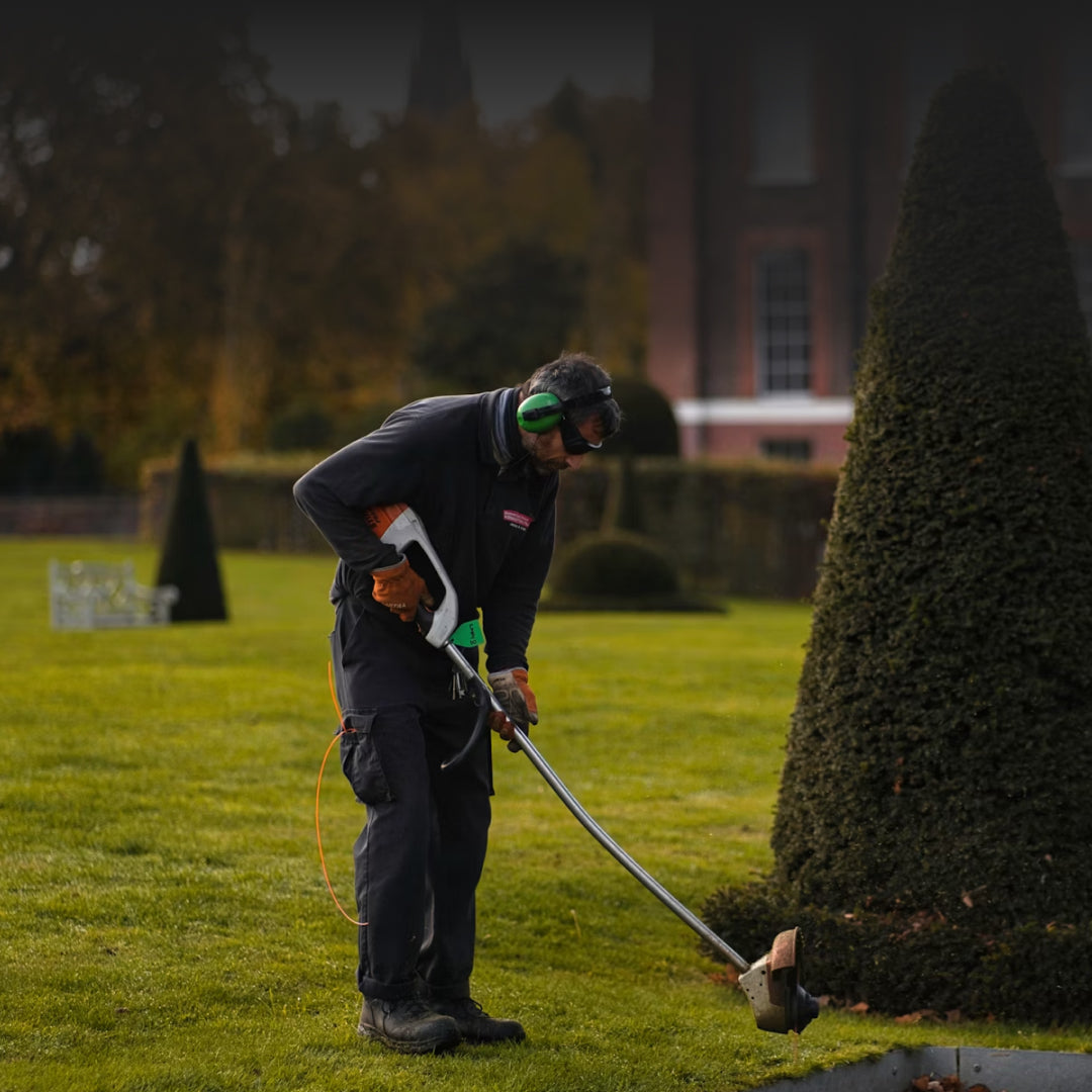 Sfalcio e taglio dell'erba