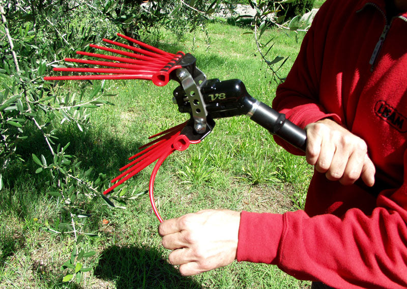 V8 Titanium Abbacchiatore pneumatico