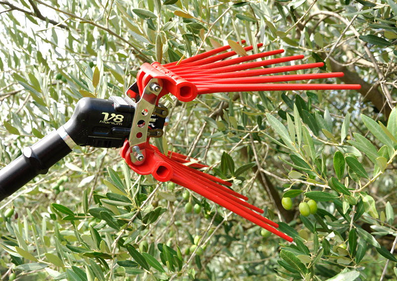 V8 Titanium Abbacchiatore pneumatico