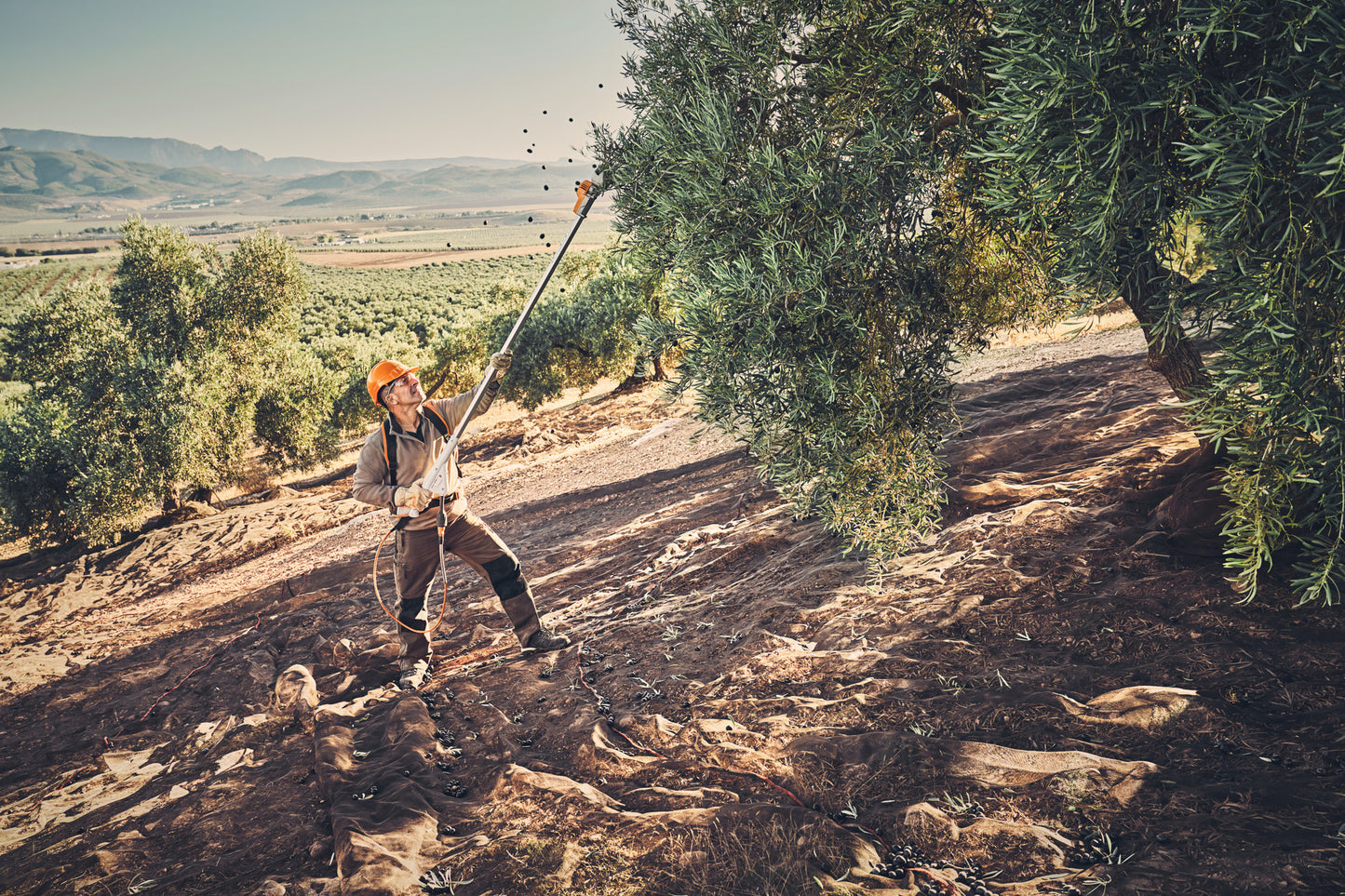 Dettaglio del cavo di collegamento e borsa da cintura su SPA 130
