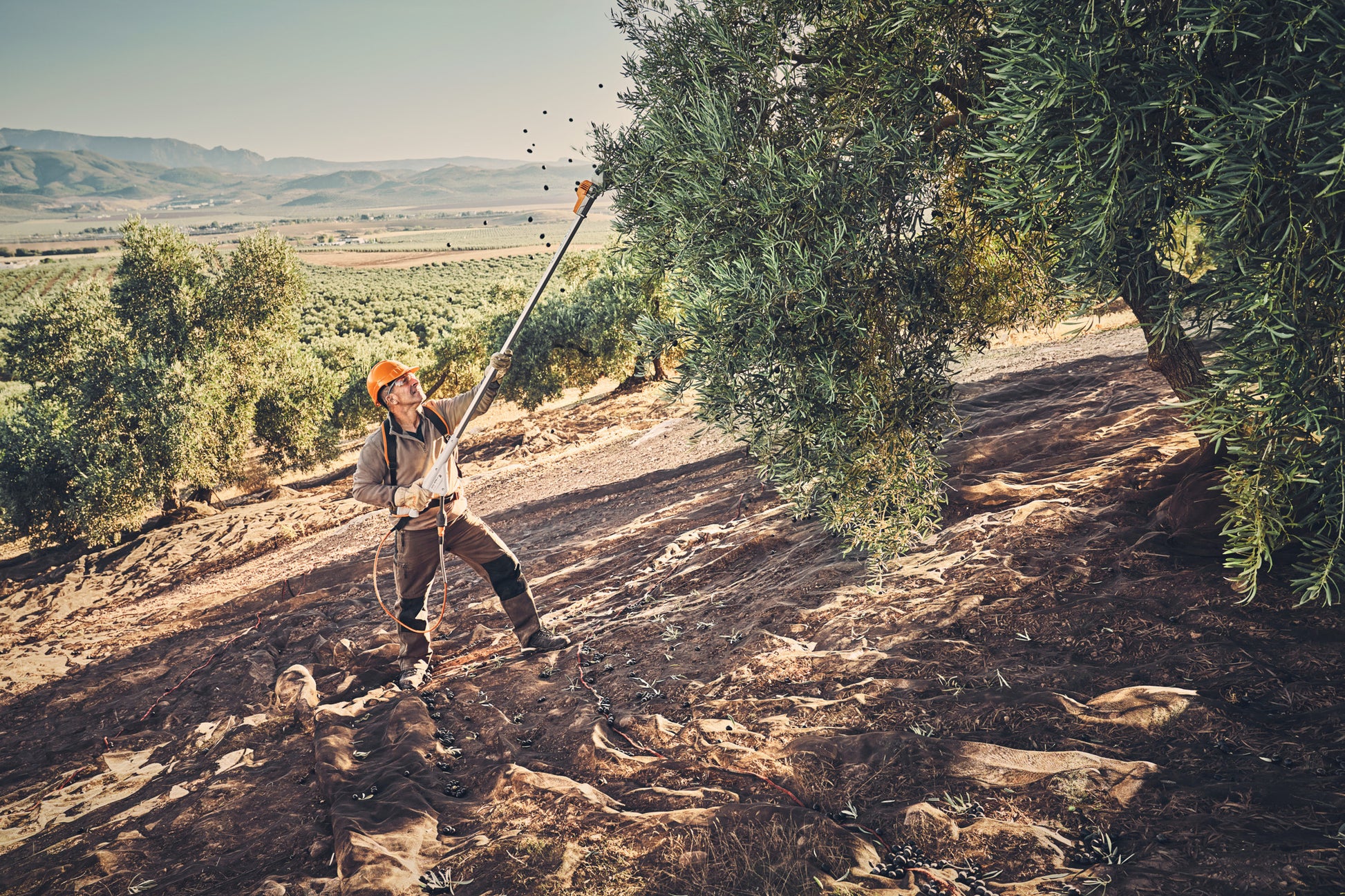 Dettaglio del cavo di collegamento e borsa da cintura su SPA 130