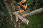 Motosega STIHL MSA 220 TC-O con sensore olio
